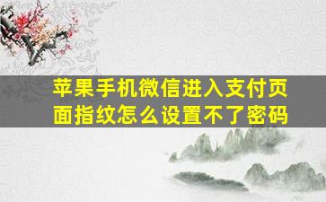 苹果手机微信进入支付页面指纹怎么设置不了密码