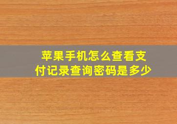 苹果手机怎么查看支付记录查询密码是多少