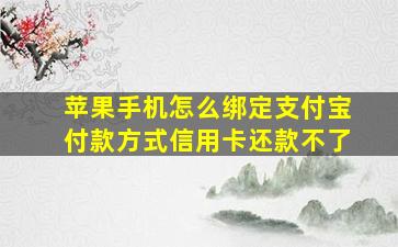 苹果手机怎么绑定支付宝付款方式信用卡还款不了