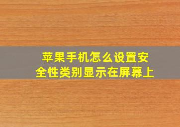 苹果手机怎么设置安全性类别显示在屏幕上