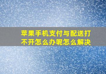 苹果手机支付与配送打不开怎么办呢怎么解决