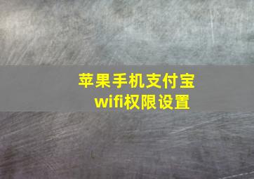 苹果手机支付宝wifi权限设置