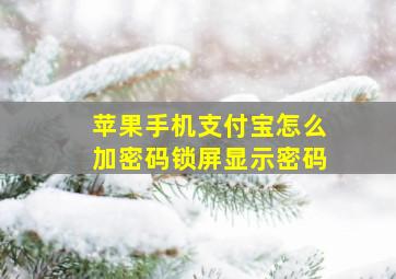 苹果手机支付宝怎么加密码锁屏显示密码