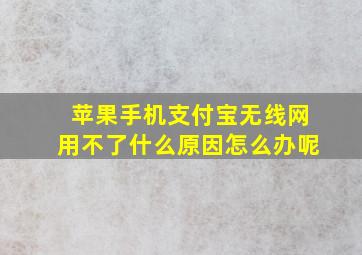 苹果手机支付宝无线网用不了什么原因怎么办呢