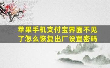 苹果手机支付宝界面不见了怎么恢复出厂设置密码