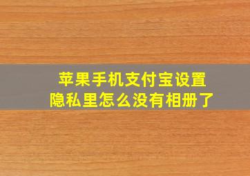 苹果手机支付宝设置隐私里怎么没有相册了