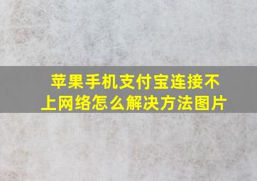 苹果手机支付宝连接不上网络怎么解决方法图片