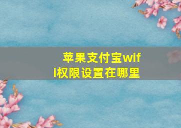 苹果支付宝wifi权限设置在哪里