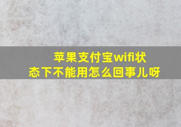 苹果支付宝wifi状态下不能用怎么回事儿呀