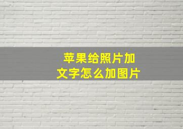 苹果给照片加文字怎么加图片