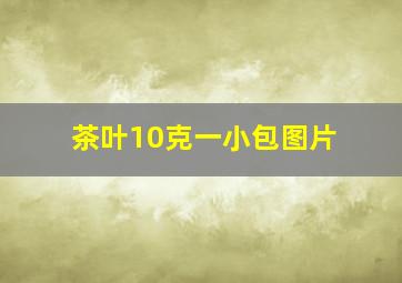 茶叶10克一小包图片