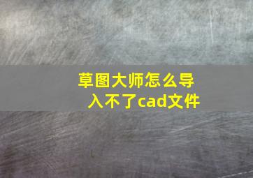 草图大师怎么导入不了cad文件