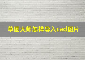 草图大师怎样导入cad图片