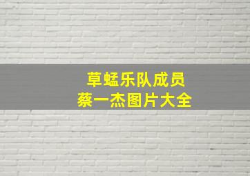 草蜢乐队成员蔡一杰图片大全