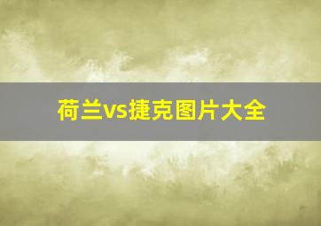 荷兰vs捷克图片大全