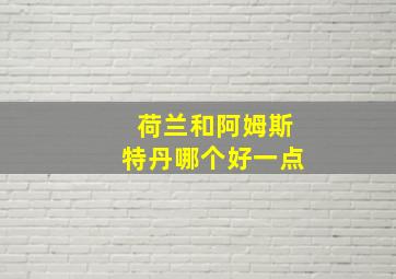 荷兰和阿姆斯特丹哪个好一点