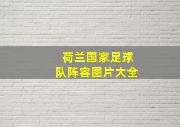 荷兰国家足球队阵容图片大全