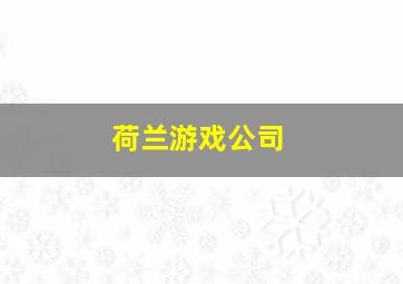 荷兰游戏公司