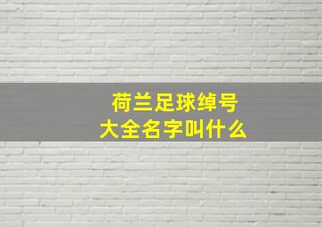 荷兰足球绰号大全名字叫什么