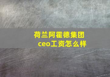 荷兰阿霍德集团ceo工资怎么样