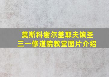 莫斯科谢尔盖耶夫镇圣三一修道院教堂图片介绍