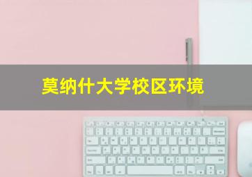 莫纳什大学校区环境