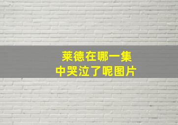 莱德在哪一集中哭泣了呢图片