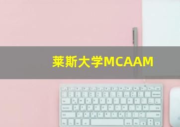 莱斯大学MCAAM