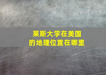 莱斯大学在美国的地理位置在哪里