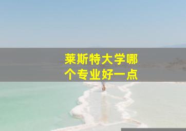 莱斯特大学哪个专业好一点