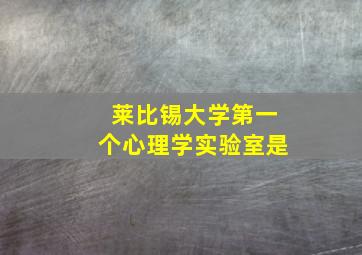 莱比锡大学第一个心理学实验室是