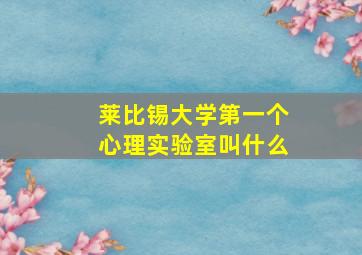 莱比锡大学第一个心理实验室叫什么