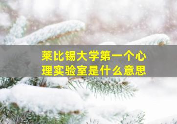 莱比锡大学第一个心理实验室是什么意思