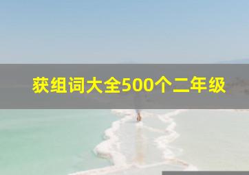 获组词大全500个二年级