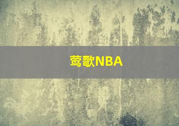 莺歌NBA