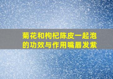 菊花和枸杞陈皮一起泡的功效与作用嘴唇发紫