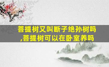 菩提树又叫断子绝孙树吗,菩提树可以在卧室养吗