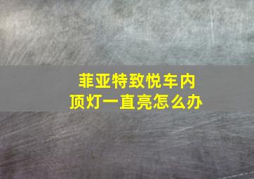 菲亚特致悦车内顶灯一直亮怎么办