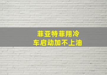 菲亚特菲翔冷车启动加不上油