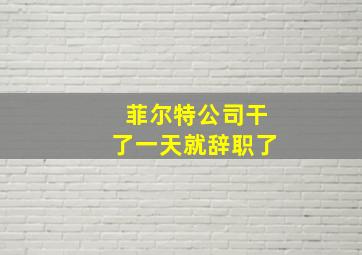 菲尔特公司干了一天就辞职了