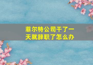 菲尔特公司干了一天就辞职了怎么办