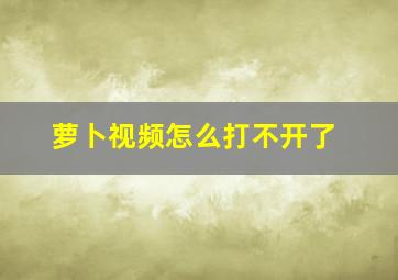 萝卜视频怎么打不开了