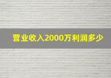 营业收入2000万利润多少