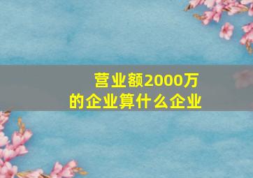 营业额2000万的企业算什么企业