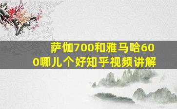 萨伽700和雅马哈600哪儿个好知乎视频讲解