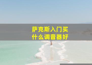 萨克斯入门买什么调音器好