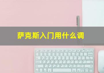 萨克斯入门用什么调