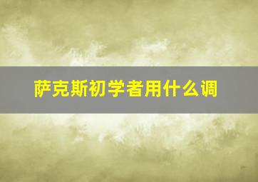 萨克斯初学者用什么调