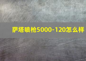 萨塔喷枪5000-120怎么样