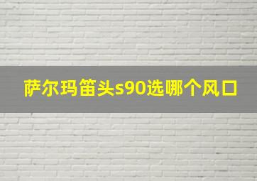 萨尔玛笛头s90选哪个风口